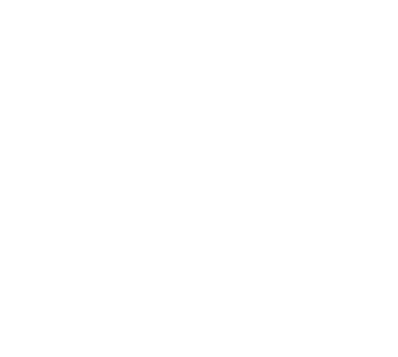 Chest icon